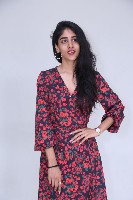 Chandini Chowdary at Sammathame Success Meet
